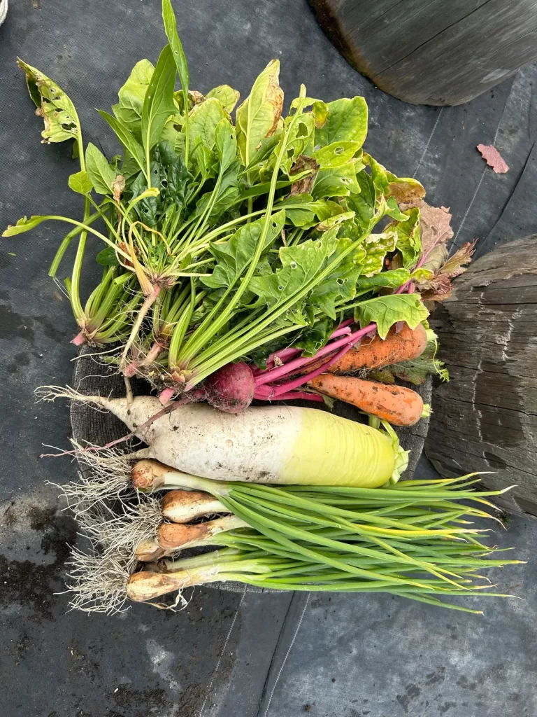 キホッチョ農園