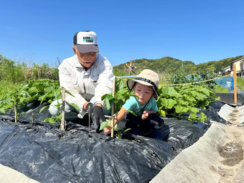 キホッチョ農園